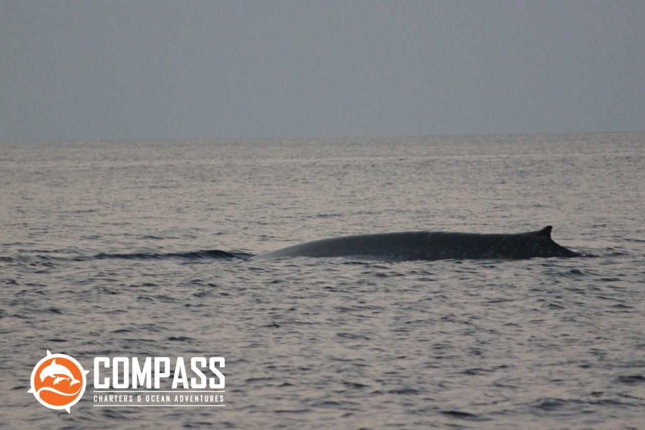 Compass Diving Resort Beloi 外观 照片