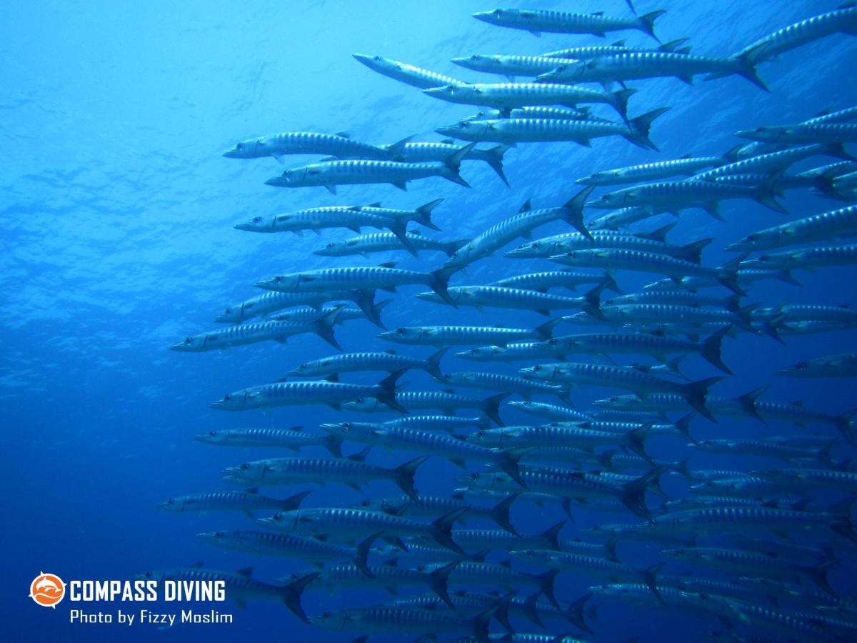 Compass Diving Resort Beloi 外观 照片